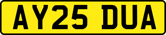 AY25DUA