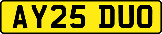 AY25DUO