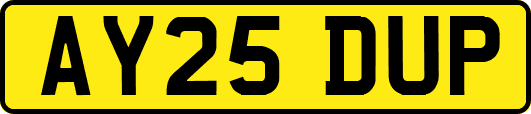 AY25DUP