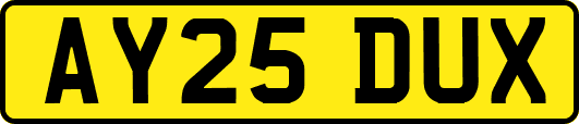AY25DUX