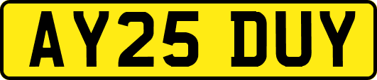 AY25DUY