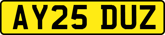 AY25DUZ