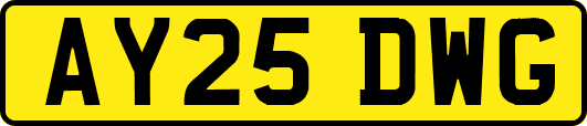 AY25DWG