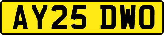 AY25DWO