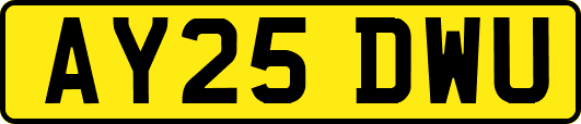 AY25DWU