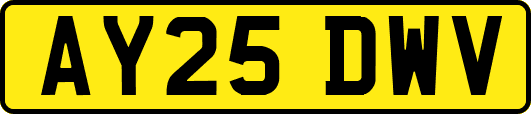 AY25DWV