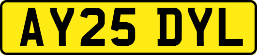 AY25DYL