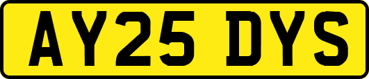 AY25DYS