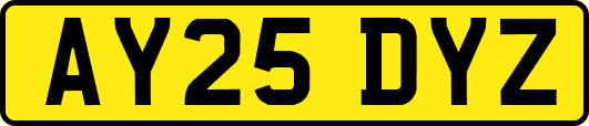 AY25DYZ