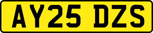 AY25DZS
