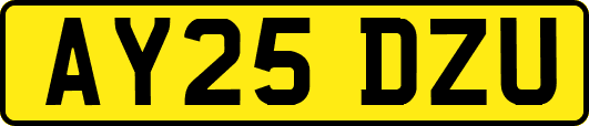 AY25DZU