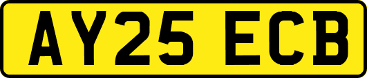 AY25ECB