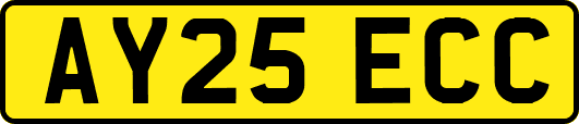 AY25ECC