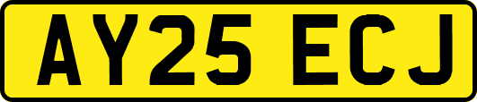 AY25ECJ