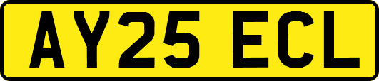 AY25ECL