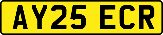 AY25ECR