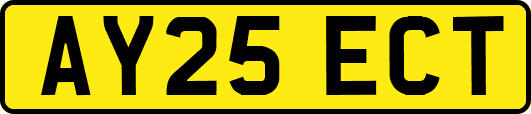 AY25ECT