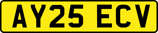 AY25ECV