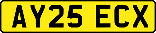 AY25ECX