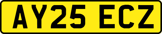 AY25ECZ