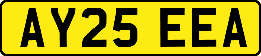 AY25EEA