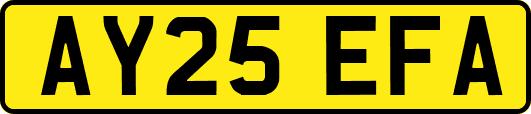 AY25EFA