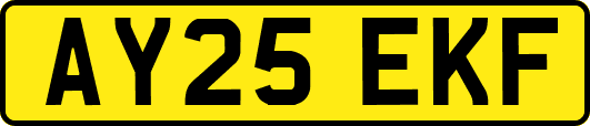AY25EKF