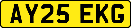 AY25EKG