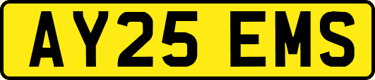 AY25EMS
