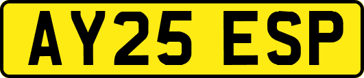 AY25ESP