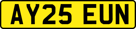 AY25EUN