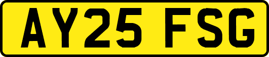 AY25FSG