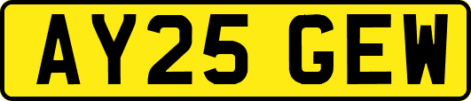 AY25GEW