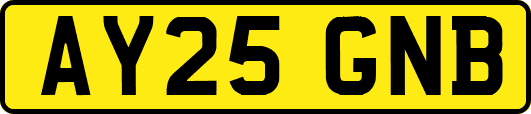 AY25GNB