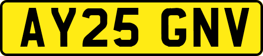 AY25GNV
