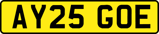 AY25GOE