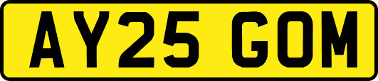 AY25GOM