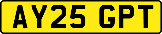AY25GPT