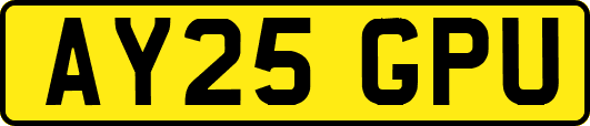 AY25GPU