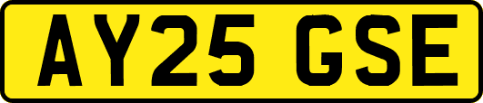 AY25GSE