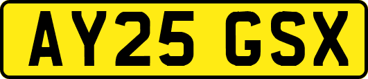 AY25GSX