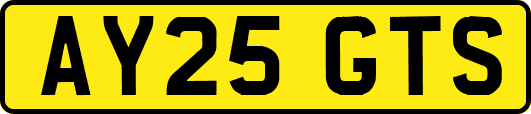 AY25GTS