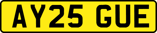 AY25GUE