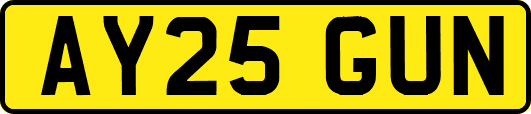 AY25GUN