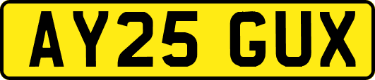 AY25GUX