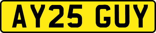 AY25GUY