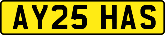 AY25HAS
