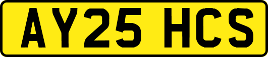 AY25HCS
