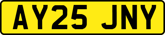 AY25JNY