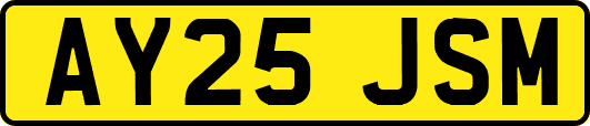 AY25JSM